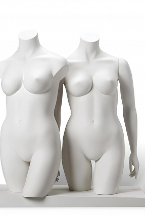 Женские торсы XL Torsos Female